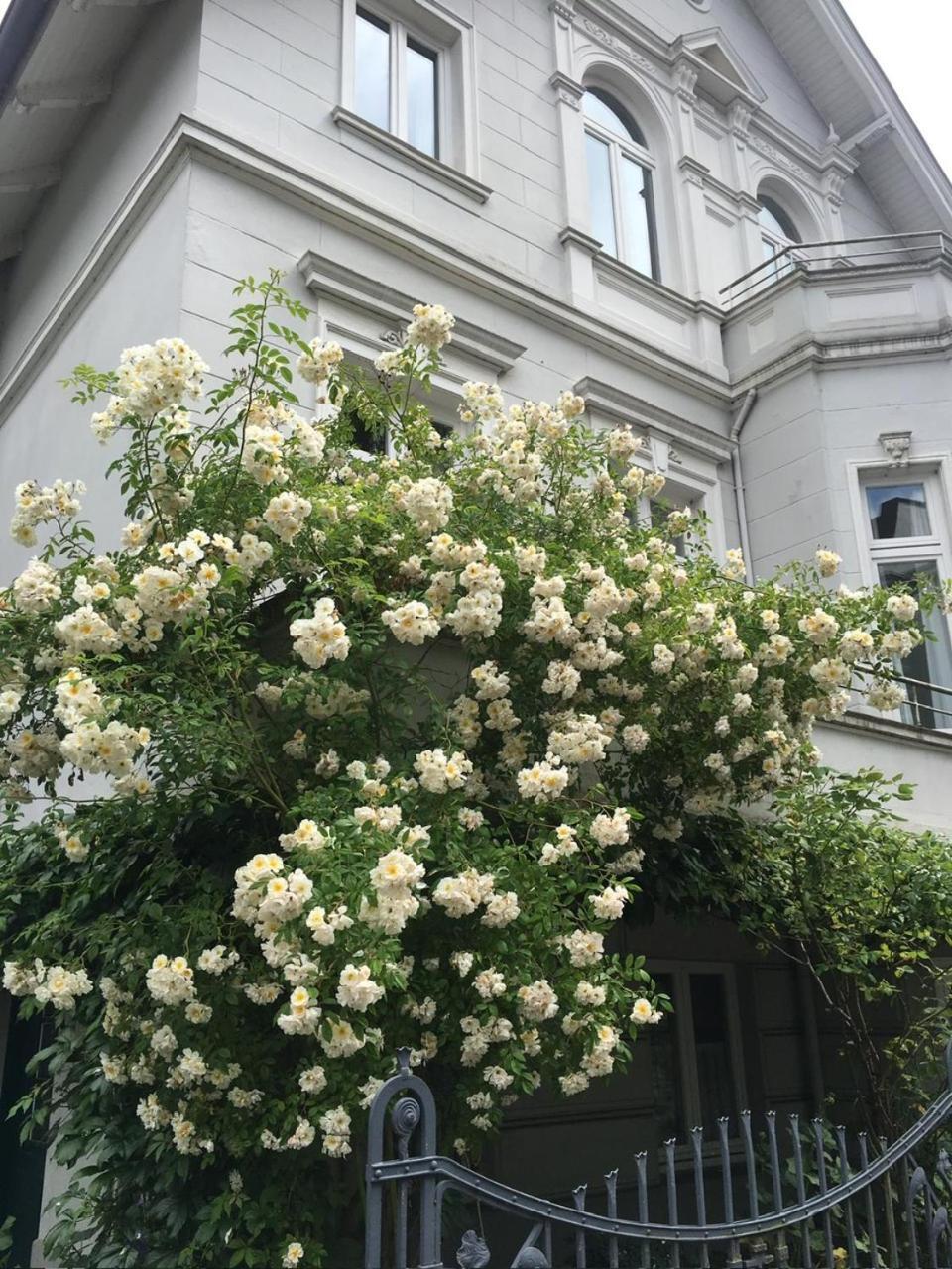 Ruhige Wohnung In Zentral Gelegener Gruenderzeitvilla オルデンブルク エクステリア 写真